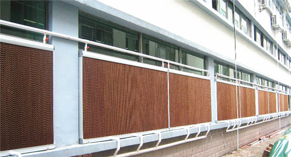 麻豆果冻精品一区二区三区水帘安装