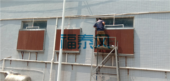 麻豆国产精品VA在线观看/水帘纸