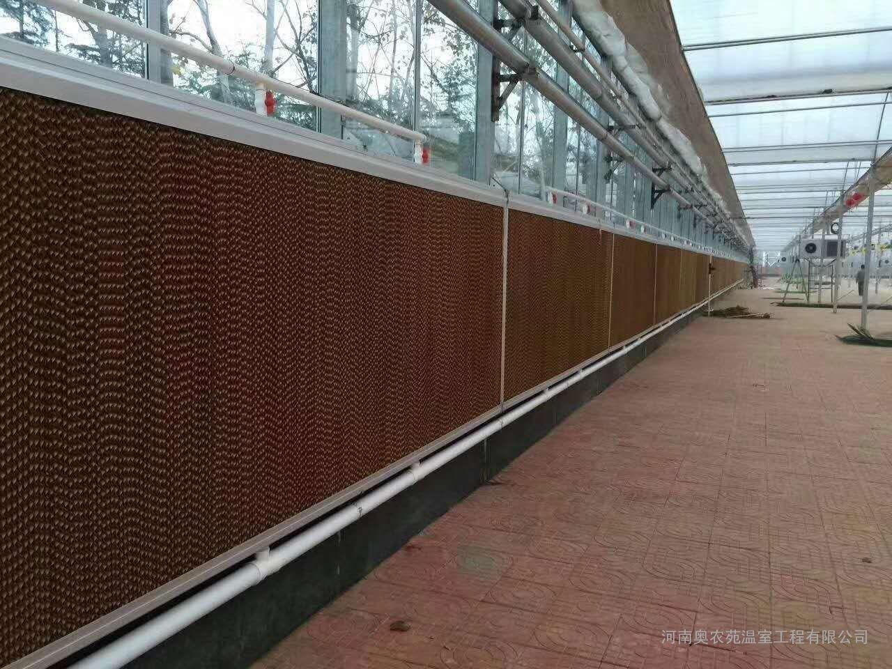 家禽养殖降温方案