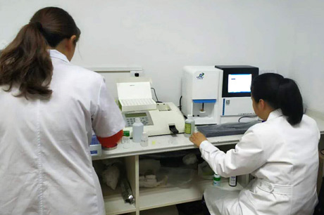 北京新麻豆果冻精品一区二区三区生物介绍补钙对麻豆果冻精品一区二区三区有哪些优势